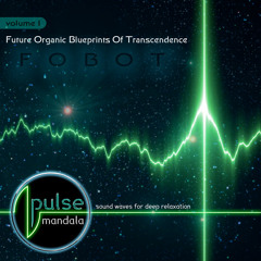 Pulse Mandala : Tempted to the Void [FREE DOWNLOAD]