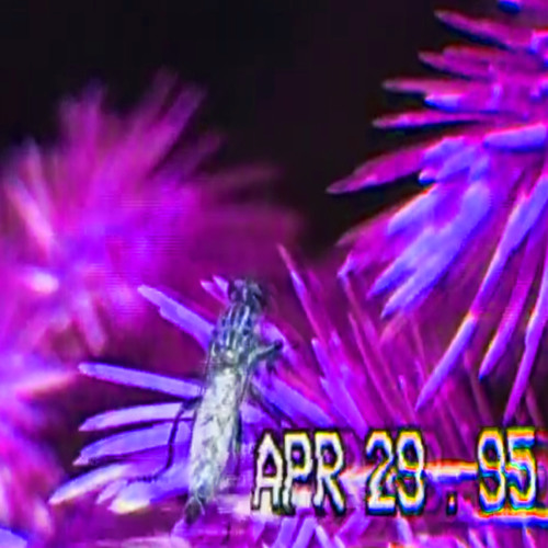 *HOLYSHIT* A TOAD COUGHED UP A CASSETTE TAPE AND I RIPPED THIS AUDIO FROM IT. NAUSEA-MIX *TRASHCORE*