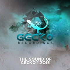 The Sound of Gecko 1.2015 (Megamix by DJ Cool)