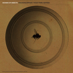 Sounds of Insects  - 4 excerpts