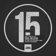 Dayne S, Sammy W & Alex E - Soul Believe (Vanilla Ace & dharkfunkh Remix)