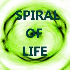 Spiral Of Life (live set_2015/02/06)
