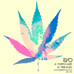 B - Pink Kush - Evo - Purple Haze E.P.