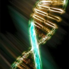 Mission Codes DNA Activation
