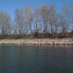 From_Mellow_To_Acid  (Original Mix)