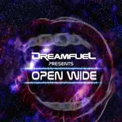 Open Wide (Original Mix)