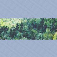 Clandestine Pine Runner