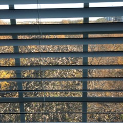 Sitting On The Dock Of The Bay