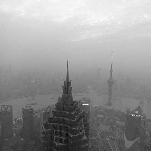 Universal Government