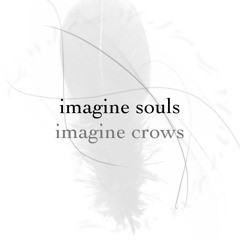 imagine souls / imagine crows