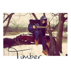 Timber - featuring Meghan Reilly