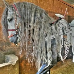 Dj Pelon - Mix Revolver Canabis