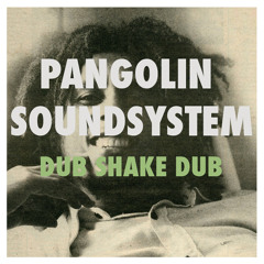 Pangolin Sound System