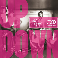 EXID 이엑스아이디- '위아래' UP&DOWN (cover)