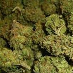 Marijuana...