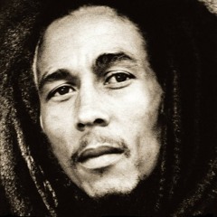 Marley Root Down -320K