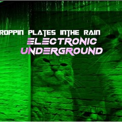 Electronic Underground - droppin plates in the rain mix