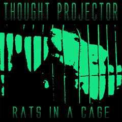 Rats In A Cage