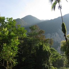 6 Nighttime in Mulu National Park