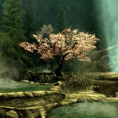 Chlises WisetalMixfin