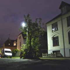 All Magnificent Things