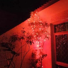 Raag baagesri_Hindu College