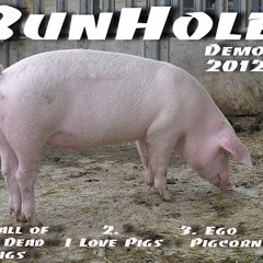 BunHole - Lost Torso Found (Degrade Cover)