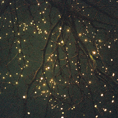 Haydenbenanh - LeHieu / songofmemory2012