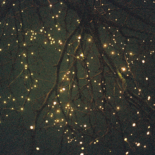 Haydenbenanh - LeHieu / songofmemory2012