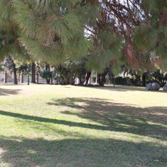 Al Andar Se Hace Camino