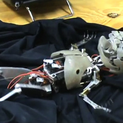 Can Robots Have Nightmares? (free download)