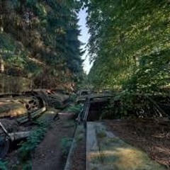 rainbow fairy my little pony cookie meow