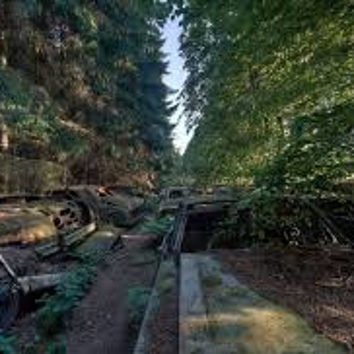 rainbow fairy my little pony cookie meow