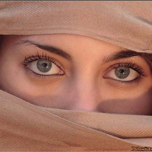 دخلك يا شال صاحبتك بتجنني - هاني العمري