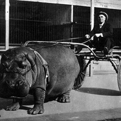 DOwWE - Hippo Man (feat. Torben)