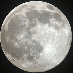Elec3moon - The Perfect Moon