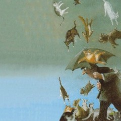 Når det regnar kattungar