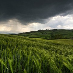 CHILL/ELECTRO (2015)