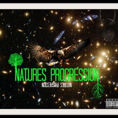 Natures Progression - The Recession of Knowledge
