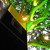 Artwork for Limes and Coconuts (Major Upset remix)