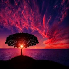 A Complete Balearic Journey - Top 30 Tracks Of 2014