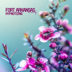 Fort Arkansas - Hypnotizing (Radio Mix)