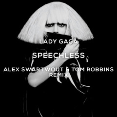 Lady Gaga - Speechless (Alex Swartwout & Tom Robbins Remix)