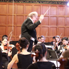 Bach Brandenburg Concerto No. 3 Opening