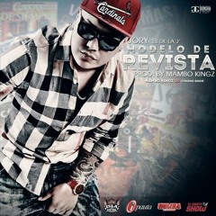 Modelo De Revista