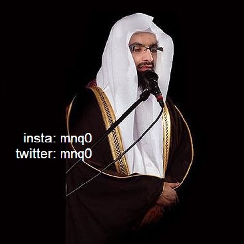 تلاوة خاشعة من سورة النمل بصوت الشيخ ناصر القطامي