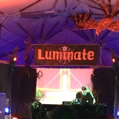 D - Sens@Luminate2015 - Mainstage