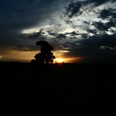 Can't Help Falling in Love With You (cover)