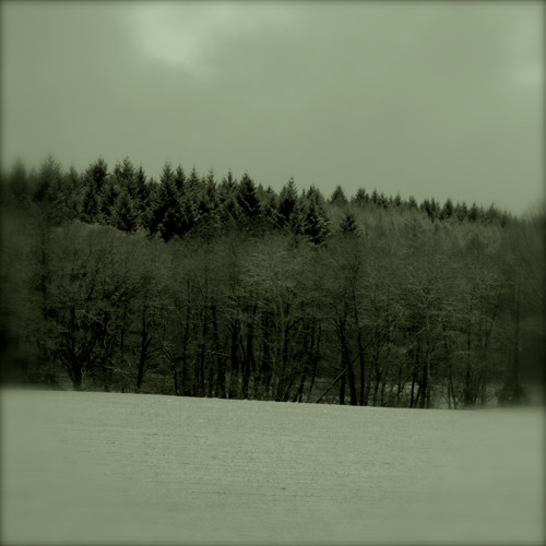 Coat (Free Download)