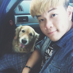 你的爱 by 王力宏 cover